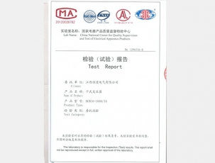 檢驗(yàn)報(bào)告
