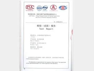 檢驗(yàn)報(bào)告